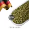 Хмель Халлертау Наггет / Hallertau Nugget (Германия), 100 г