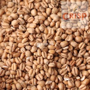 Торрефицированная пшеница / Torrefied Wheat (Сrips), 1 кг