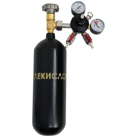 5. Редуктор углекислотный на два потока с кранами «Redius»