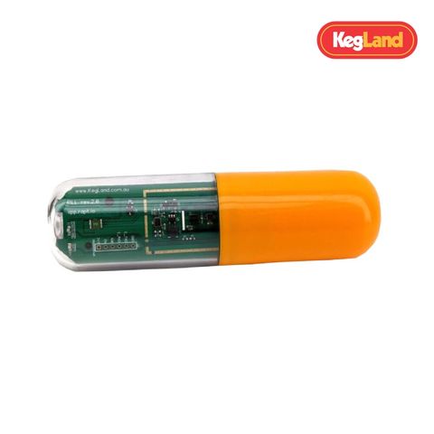 2. Цифровой ареометр-термометр RAPT Pill от KegLand