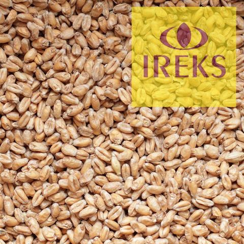 Фотография 1 Солод Пшеничный светлый / Wheat Light (Ireks), 5 кг