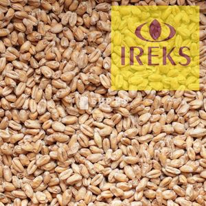 Солод Пшеничный светлый / Wheat Light (Ireks), 1 кг