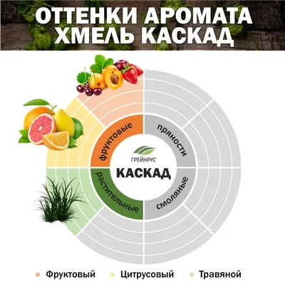 3. Хмель Каскад / Cascade (Россия), 500 г