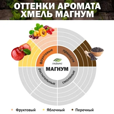 3. Хмель Магнум / Magnum (Россия), 100 г