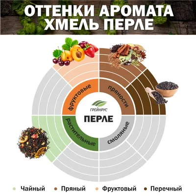 3. Хмель Перле / Perle (Россия), 50 г