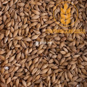 Солод ячменный Венский / Vienna Malt (Староминский солод), 1 кг