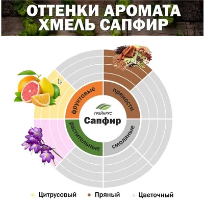 3. Хмель Сапфир / Saphir (Россия), 500 г