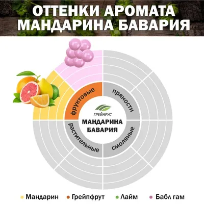 3. Хмель Мандарина Бавария / Mandarina Bavaria (Россия), 100 г